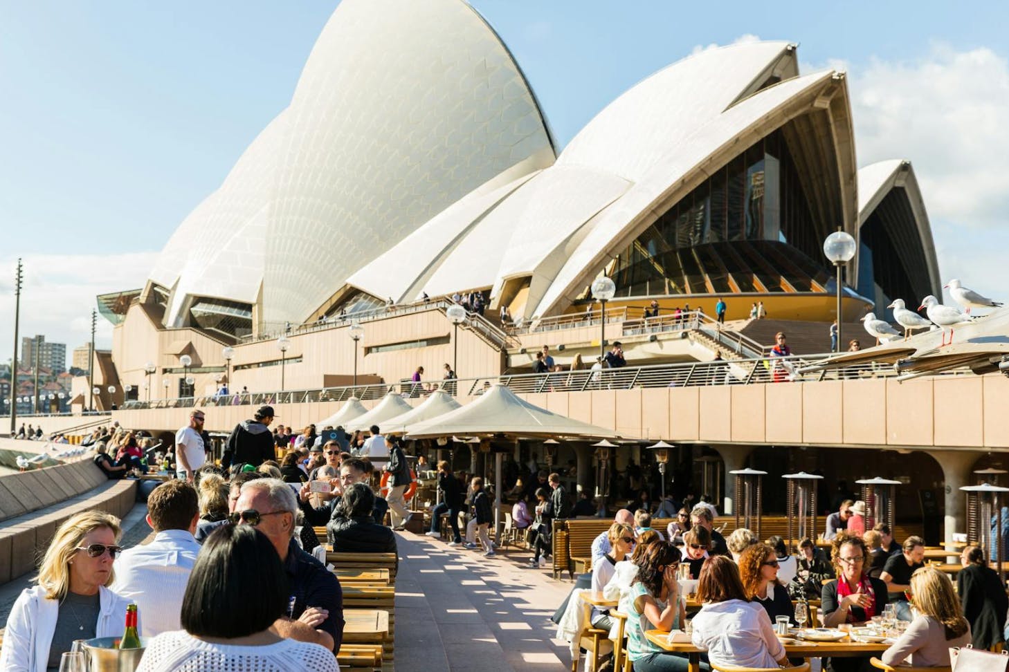 opera bar sydney
